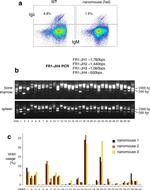 IgM Antibody in Flow Cytometry (Flow)