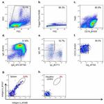 IgM Antibody in Flow Cytometry (Flow)