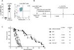 T-bet Antibody in Flow Cytometry (Flow)