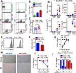 Ly-6C Antibody in Flow Cytometry (Flow)