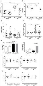 MHC Class I (H-2Kb) Antibody in Flow Cytometry (Flow)