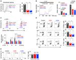 TNF alpha Antibody in Flow Cytometry (Flow)