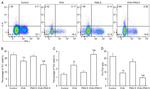 IL-4 Antibody in Flow Cytometry (Flow)