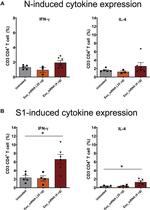 IFN gamma Antibody in Flow Cytometry (Flow)