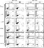 IL-10 Antibody in Flow Cytometry (Flow)