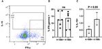 IL-10 Antibody in Flow Cytometry (Flow)