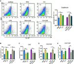 IL-10 Antibody in Flow Cytometry (Flow)