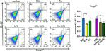 IL-10 Antibody in Flow Cytometry (Flow)