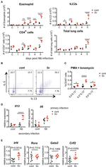 IL-13 Antibody in Flow Cytometry (Flow)