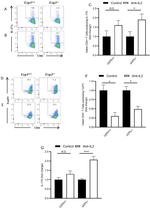 IL-17A Antibody in Flow Cytometry (Flow)