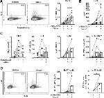 IL-17A Antibody in Flow Cytometry (Flow)