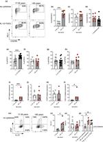 IL-21 Antibody in Flow Cytometry (Flow)