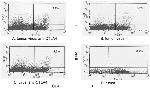 IFN gamma Antibody in Flow Cytometry (Flow)