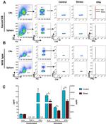 IFN gamma Antibody in Flow Cytometry (Flow)