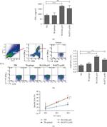 IFN gamma Antibody in Flow Cytometry (Flow)