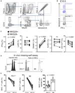 IFN gamma Antibody in Flow Cytometry (Flow)