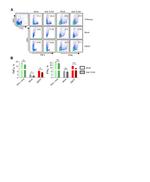 IFN gamma Antibody in Flow Cytometry (Flow)