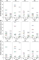 IFN gamma Antibody in Flow Cytometry (Flow)