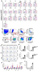 TNF alpha Antibody in Flow Cytometry (Flow)