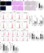 CD279 (PD-1) Antibody in Flow Cytometry (Flow)