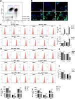 CD279 (PD-1) Antibody in Flow Cytometry (Flow)