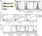 TNF alpha Antibody in Flow Cytometry (Flow)