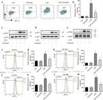 CD284 (TLR4) Antibody in Flow Cytometry (Flow)