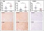 CD4 Antibody in Immunohistochemistry (IHC)