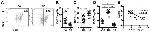 CD278 (ICOS) Antibody in Flow Cytometry (Flow)