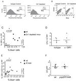 Ly-6G/Ly-6C Antibody in Flow Cytometry (Flow)