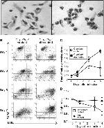 F4/80 Antibody in Flow Cytometry (Flow)