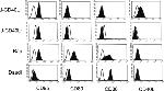 CD95 (APO-1/Fas) Antibody in Flow Cytometry (Flow)