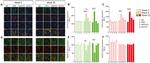 TLR4 Antibody in Immunohistochemistry (IHC)