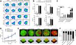 CD4 Antibody in Flow Cytometry (Flow)