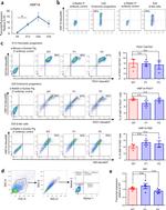 GATA4 Antibody in Flow Cytometry (Flow)