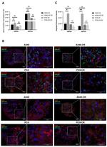 EpCAM Antibody in Immunohistochemistry (IHC)