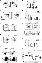 CD45R (B220) Antibody in Flow Cytometry (Flow)