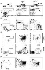 IgM Antibody in Flow Cytometry (Flow)