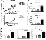 HLA-ABC Antibody in Flow Cytometry (Flow)