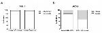 Annexin A1 Antibody in Immunohistochemistry (IHC)