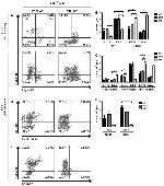 CD41a Antibody in Flow Cytometry (Flow)