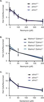 Parvalbumin Antibody in Immunohistochemistry (IHC)