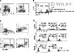 FOXP3 Antibody in Flow Cytometry (Flow)