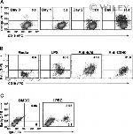 IgA Antibody in Flow Cytometry (Flow)