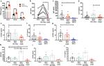 TGF beta-1,2,3 Antibody in Inhibition Assays (IA)