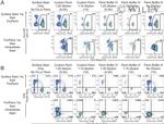 CD4 Antibody in Flow Cytometry (Flow)