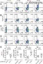 CD4 Antibody in Flow Cytometry (Flow)