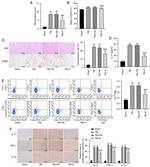 TNF alpha Antibody in Immunohistochemistry (IHC)