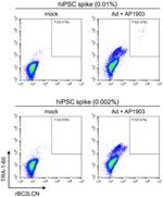 TRA-1-60 Antibody in Flow Cytometry (Flow)