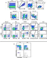 IL-22 Antibody in Flow Cytometry (Flow)